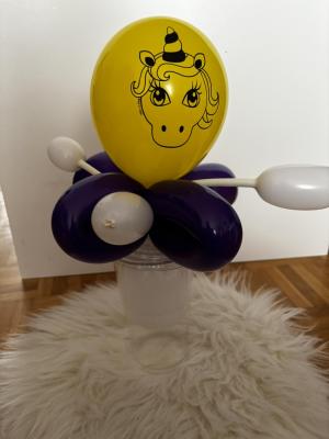 Balloon-Twisting-11