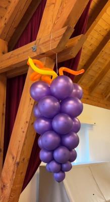 Balloon-Twisting-12
