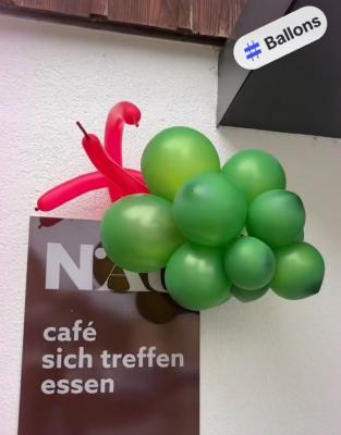 Balloon-Twisting-13