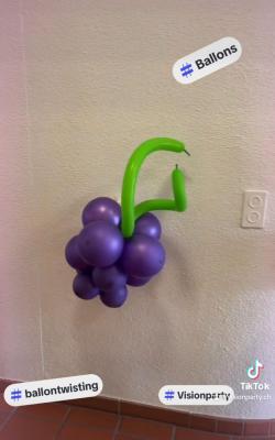 Balloon-Twisting-14